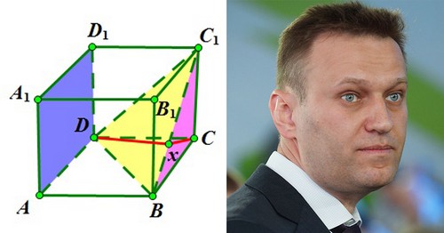 Куб Навального