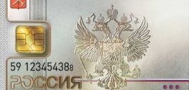 электронный паспорт