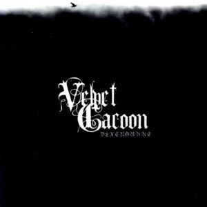 Velvet Cacoon